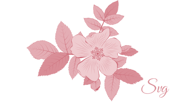 Rose Gold Rose Embroidery Design Review
