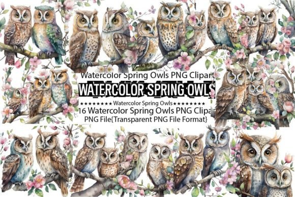 Watercolor Spring Owls Sublimation Bundl Review